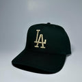 LA 5 Panel Cap