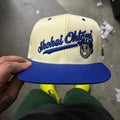 Shohei Ohtani SnapBack