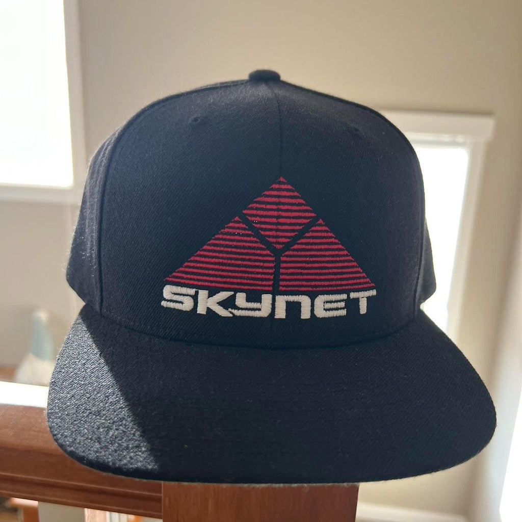 Skynet SnapBack from the Terminator movies