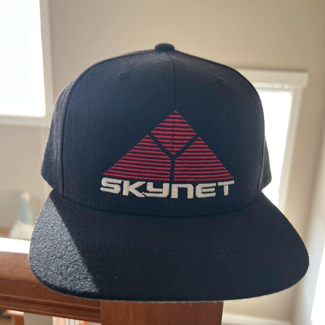 Skynet SnapBack from the Terminator movies