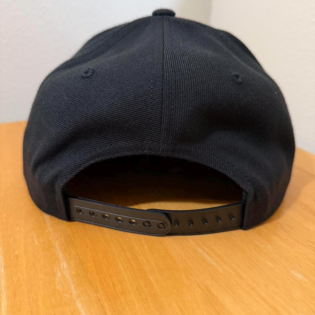 MP3 SnapBack hat