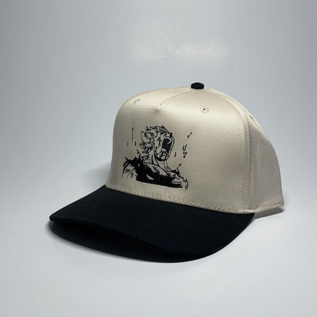 Dragon Ball Z 5 Panel Snapback Cap Hat