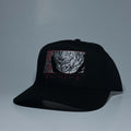Dragon Ball 5 Panel Cap