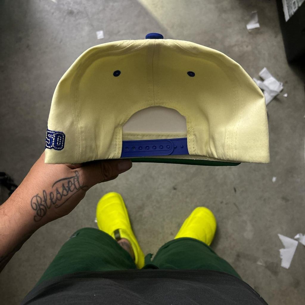 Shohei Ohtani SnapBack