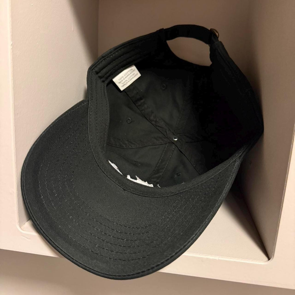 Jimmy Neutron strap back dad hat