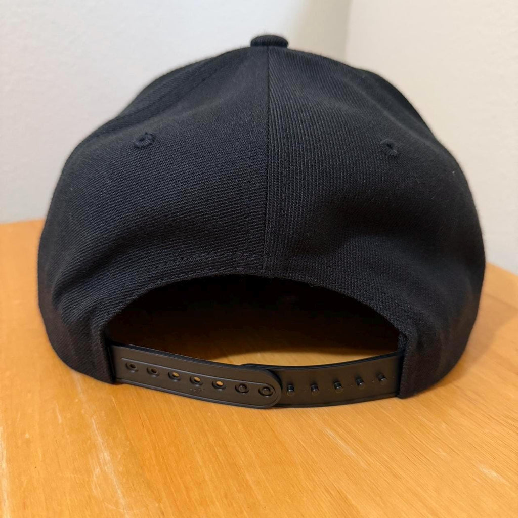 mp4 SnapBack hat
