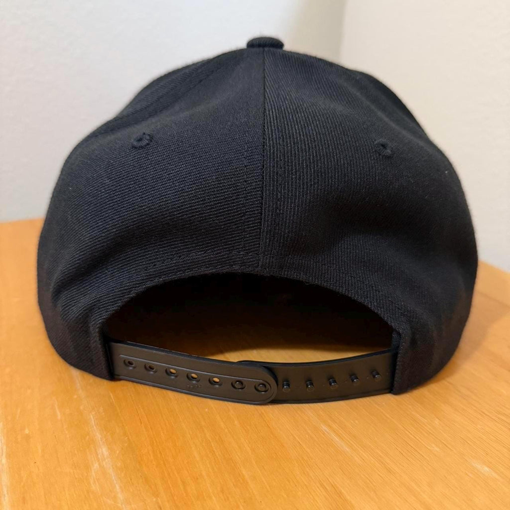 WAV SnapBack hat